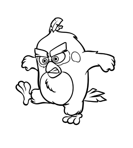 Draw An Angry Bird